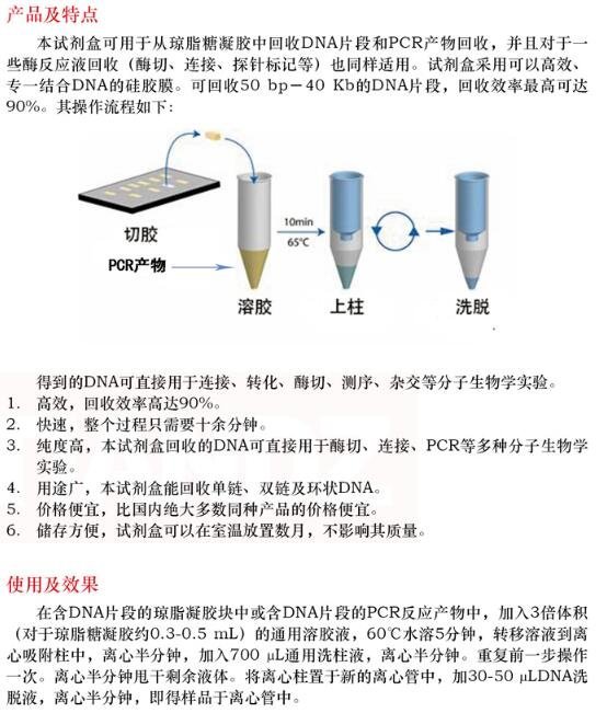 胶回收及 PCR 片段纯化两用试剂盒100 次价格