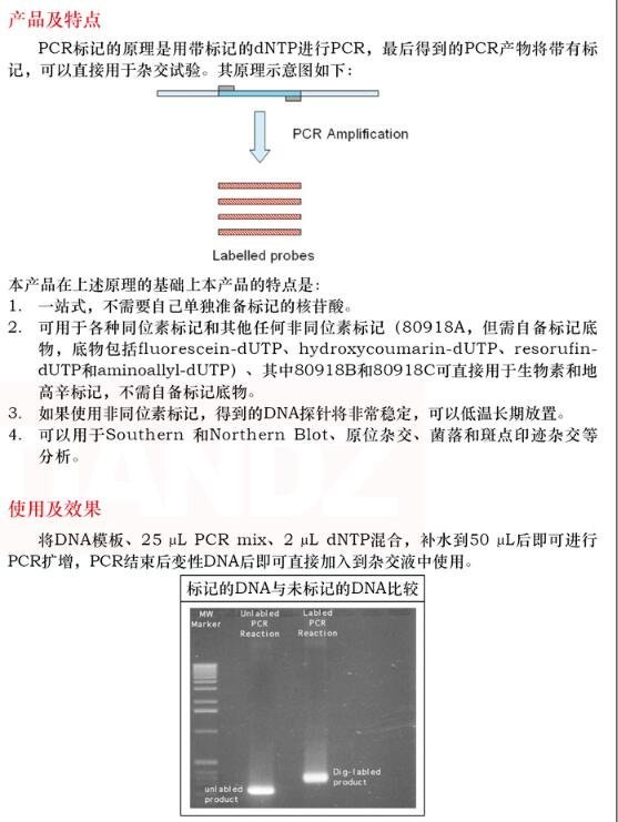 PCR 法 DNA 探针生物素标记试剂盒 5次上海直销