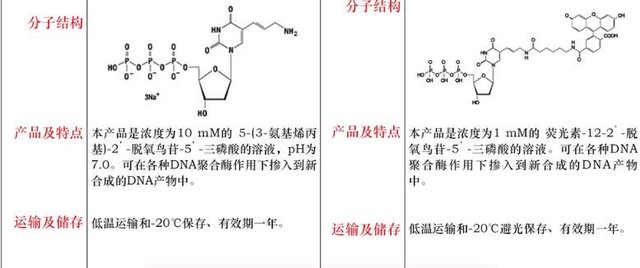 Fluorescein-12-dUTP 溶液,1mM25μL