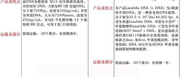 lambda(λ)DNA5μg价格