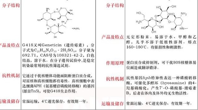 遗传霉素 (G418) 干粉100mg直销