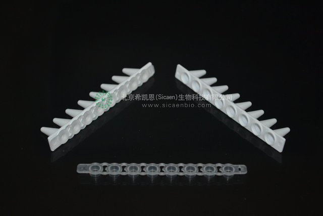 0.1ml 荧光定量qPCR 8联管 白色 PCR8连管 可