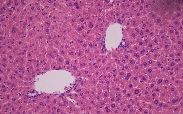 产品细节图片11