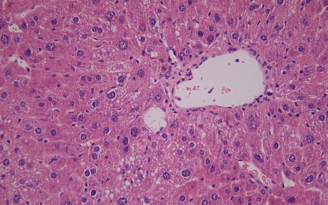 产品细节图片10