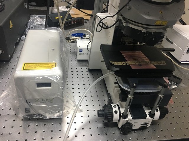 X-Cite® 200DC荧光显微镜荧光光源（直流电）