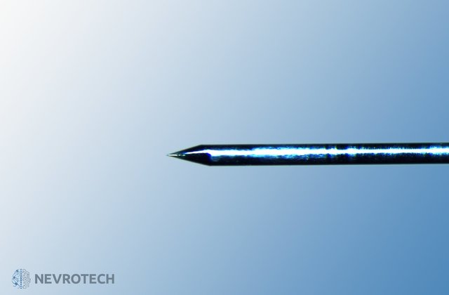 微电极和电极阵列