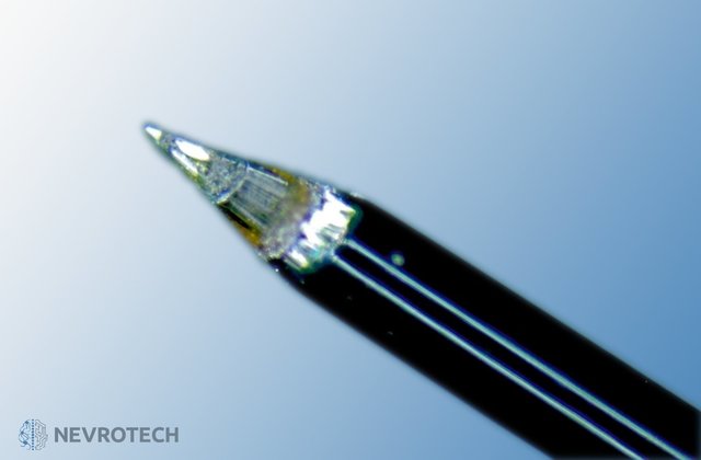 微电极和电极阵列