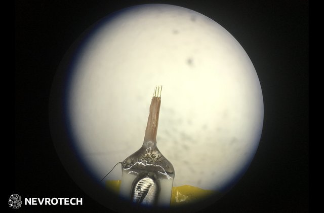 微电极和电极阵列