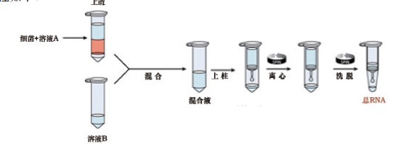 产品细节图片1