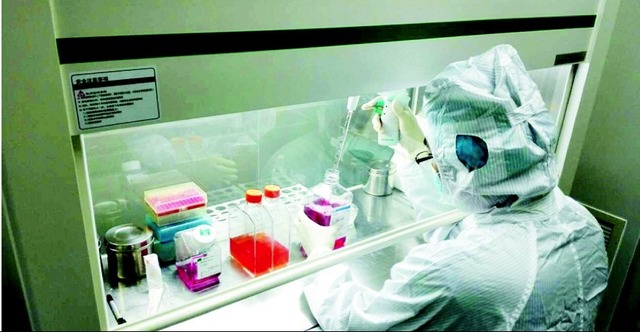 HUASMC【人脐动脉平滑肌细胞】