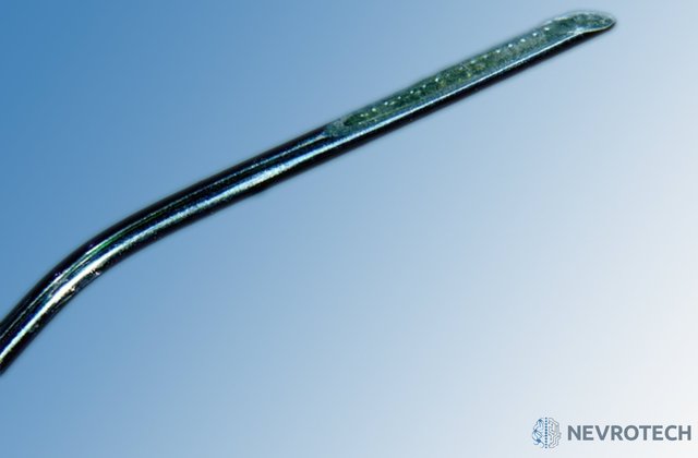 微电极和电极阵列