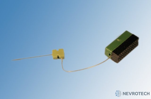 微电极和电极阵列