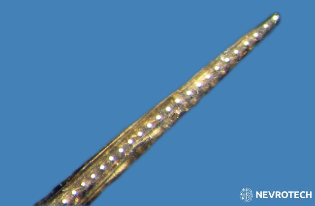 微电极和电极阵列