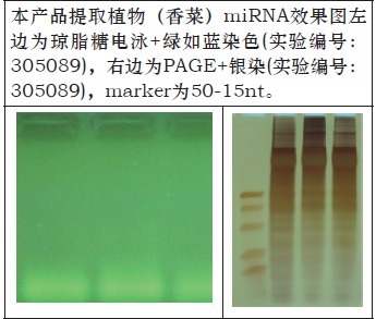 产品细节图片1