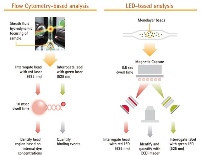 Millipore 密理博 Luminex 多重ELISA 