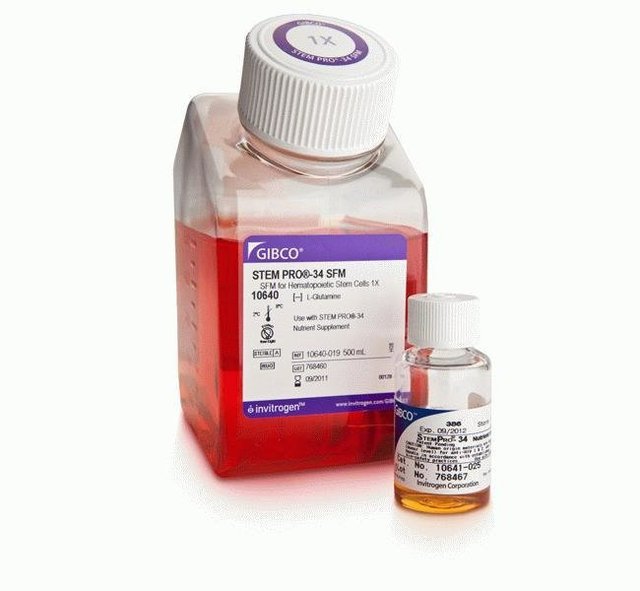 StemPro™-34 SFM (1X) 造血干 脐带血细胞