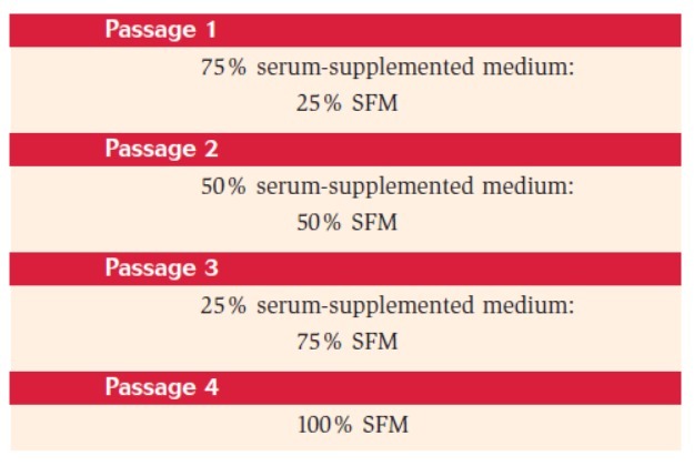 Human Endothelial-SFM  内皮细胞培养基