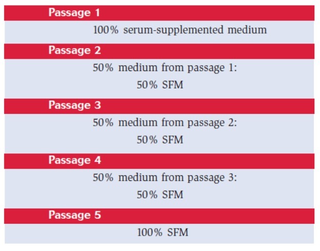 Human Endothelial-SFM  内皮细胞培养基