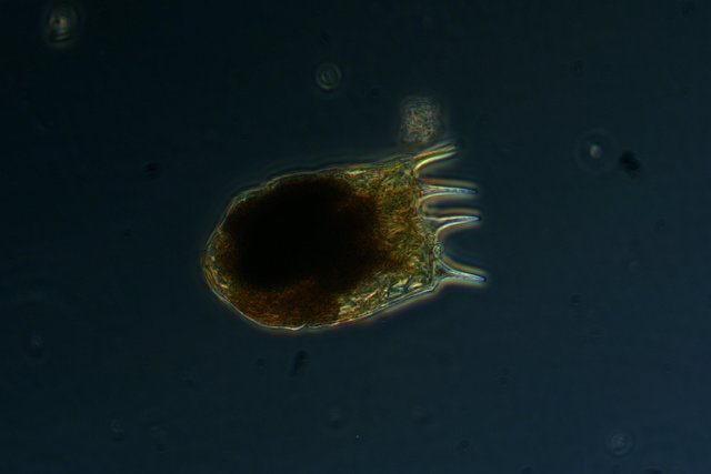 产品细节图片10