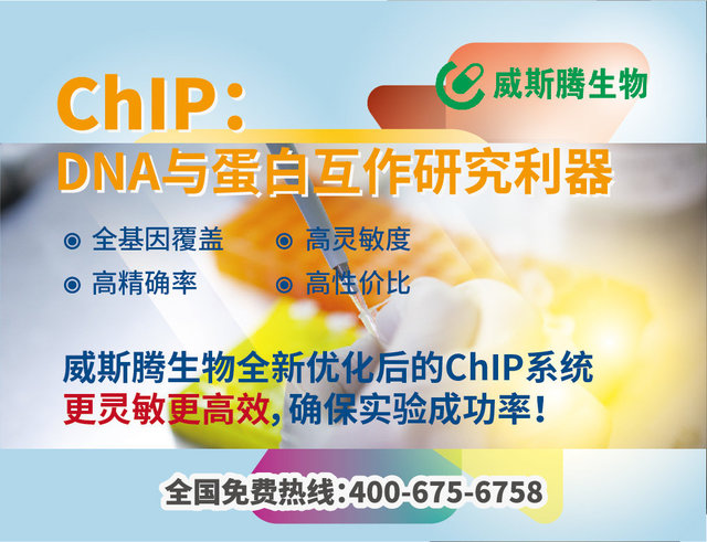 产品细节图片1
