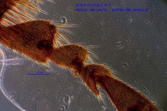 产品细节图片11