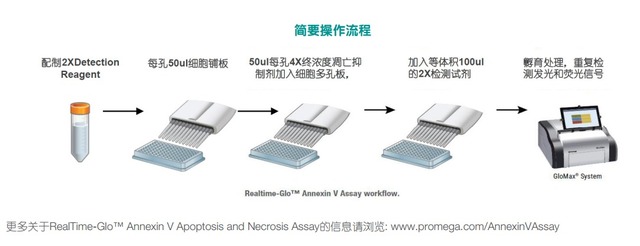 RealTime-Glo™ Annexin V Apopto