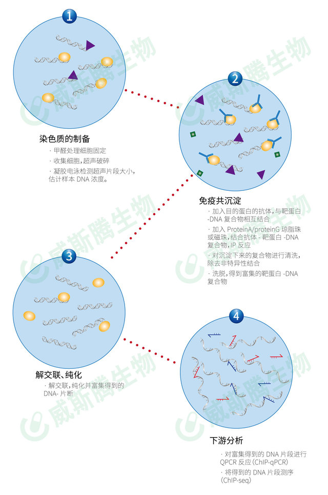 产品细节图片2
