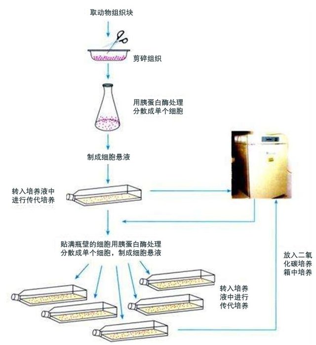 产品细节图片1