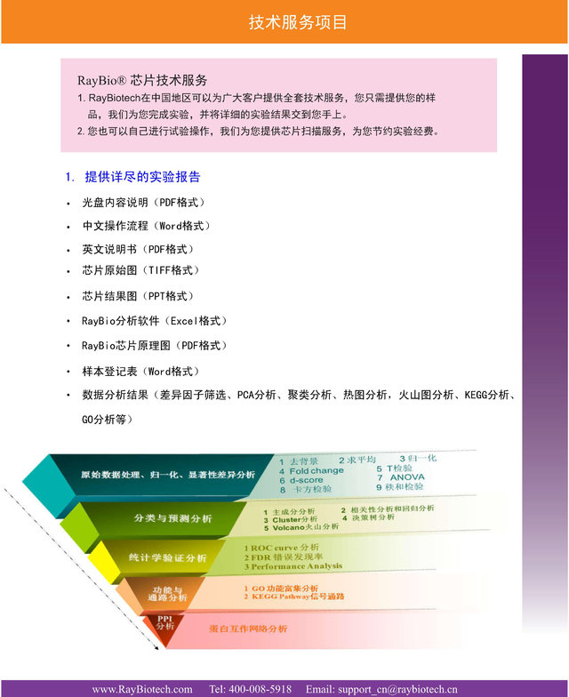 RayBiotech抗体芯片技术服务