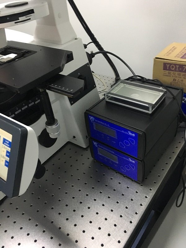 ibidi镜载活细胞培养系统