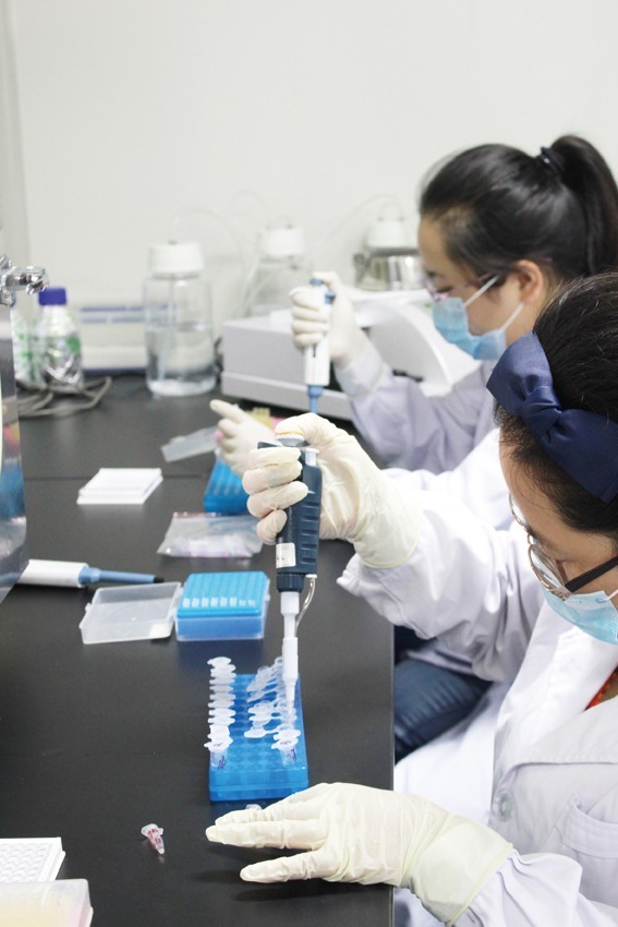 人抗甲状腺球蛋白抗体(ATGA/TGAB)间接法Elisa试