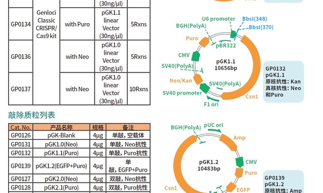 支原体检测试剂盒Mycoplasma Detection K