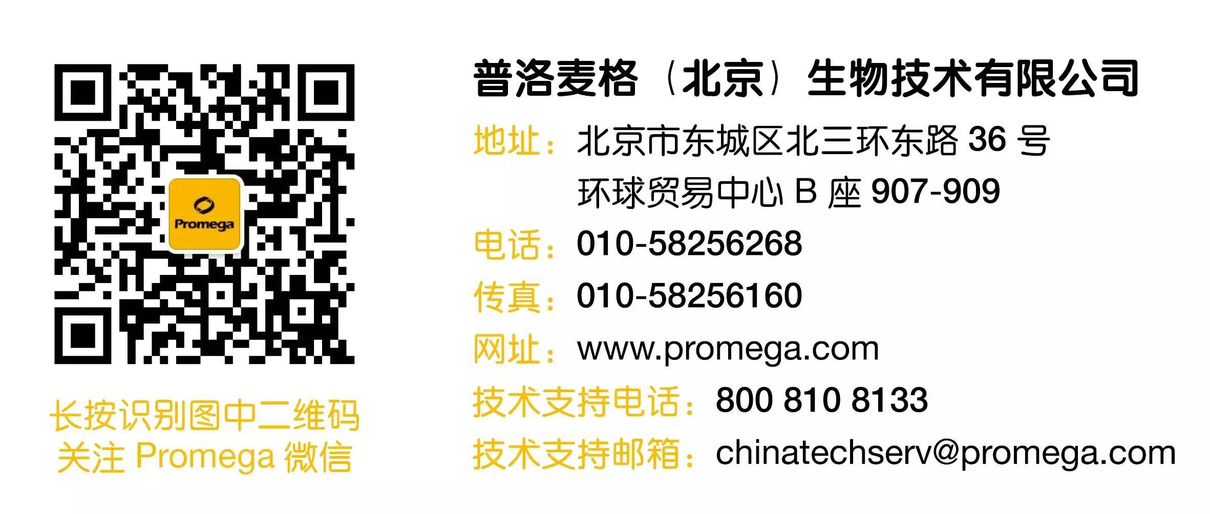 Promega细胞凋亡检测