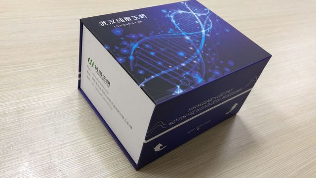 腺苷脱氨酶（ADA）（EC 3.5.4.4）