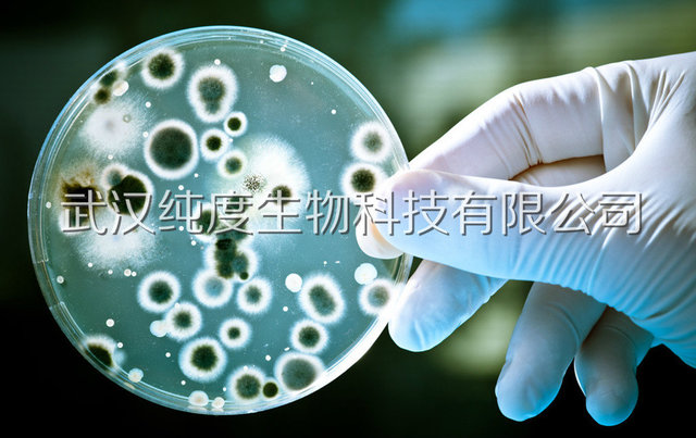 BIGGY 琼脂BIGGY agar