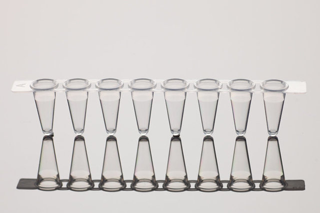 NEST 0.2ml PCR八联管（编号：403002）