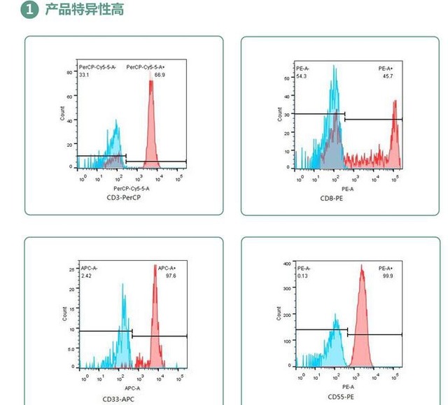 乙酰化组蛋白H3免疫荧光抗体