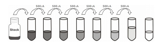 Vasoactive Intestinal Peptide 