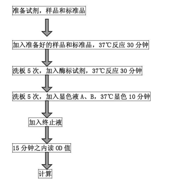 人干扰素ω1(IFN-ω1）Elisa试剂盒说明书