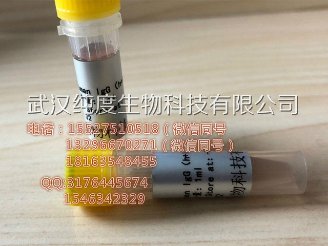 CD133antigen造血干细胞抗原CD133抗体