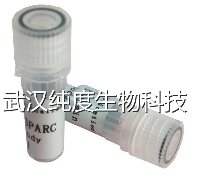 RabbitAnti-mouseIgG/PE-Cy7PE-C