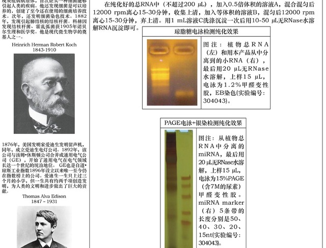 沉淀法miRNA分离试剂盒