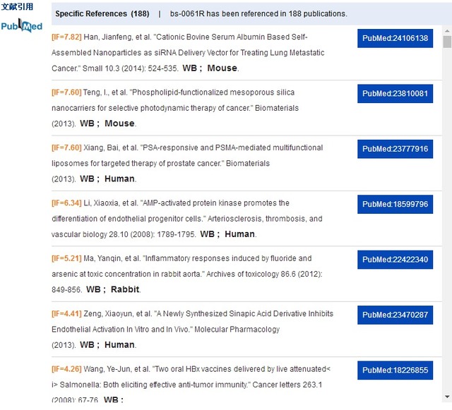 β-肌动蛋白/β-Actin 抗体（内参抗体）