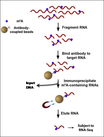 产品细节图片10