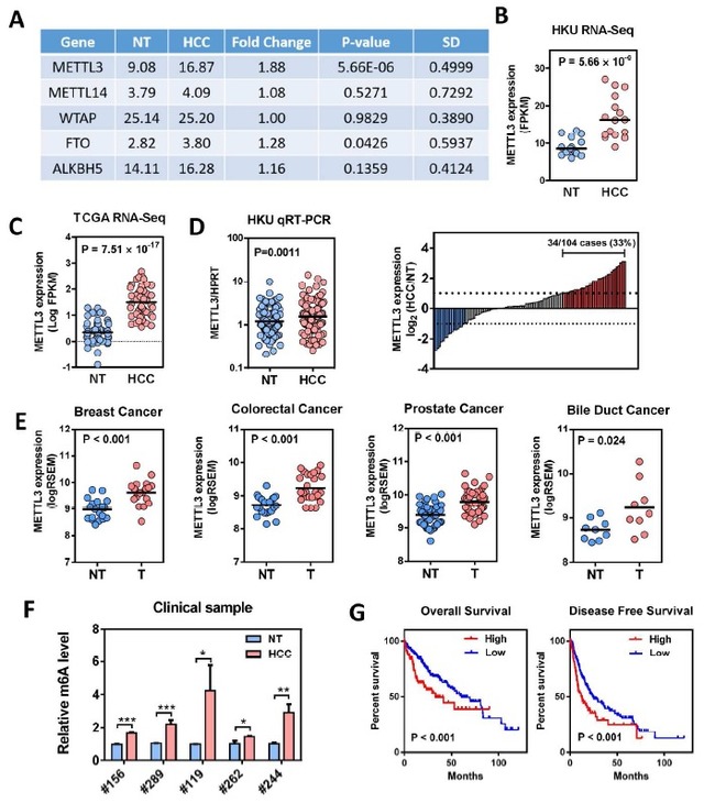 产品细节图片12