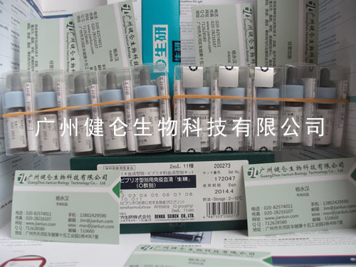 健仑沙门氏菌血清抗A群检测（Salmonella serum