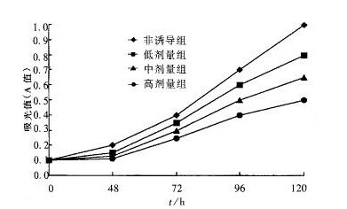 细胞活性检测（MTT）