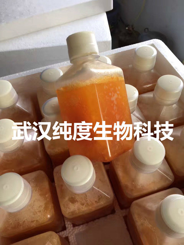 sh30413.02Hyclone原装新生牛血清新西兰加强型