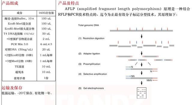 AFLP试剂盒（EcoRI-MseI）