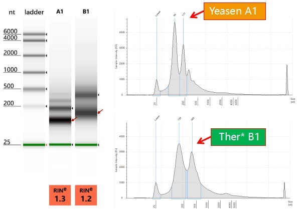 血清/血浆外泌体抽提试剂盒(外泌体提取分离)